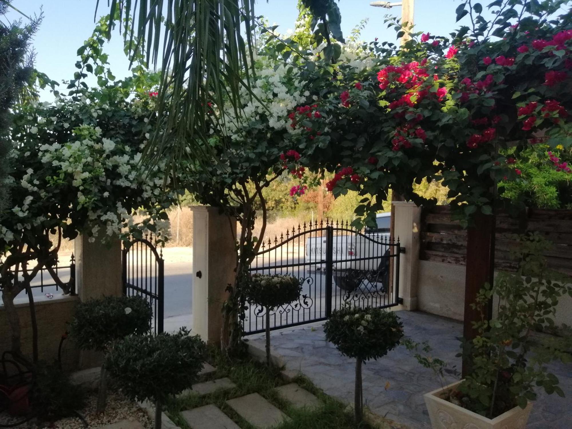 Villa Myria 파포스 객실 사진